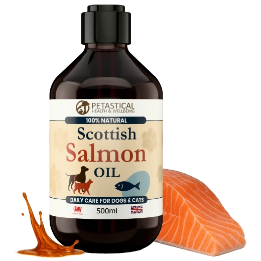 Salmon Oil for Dogs Cats